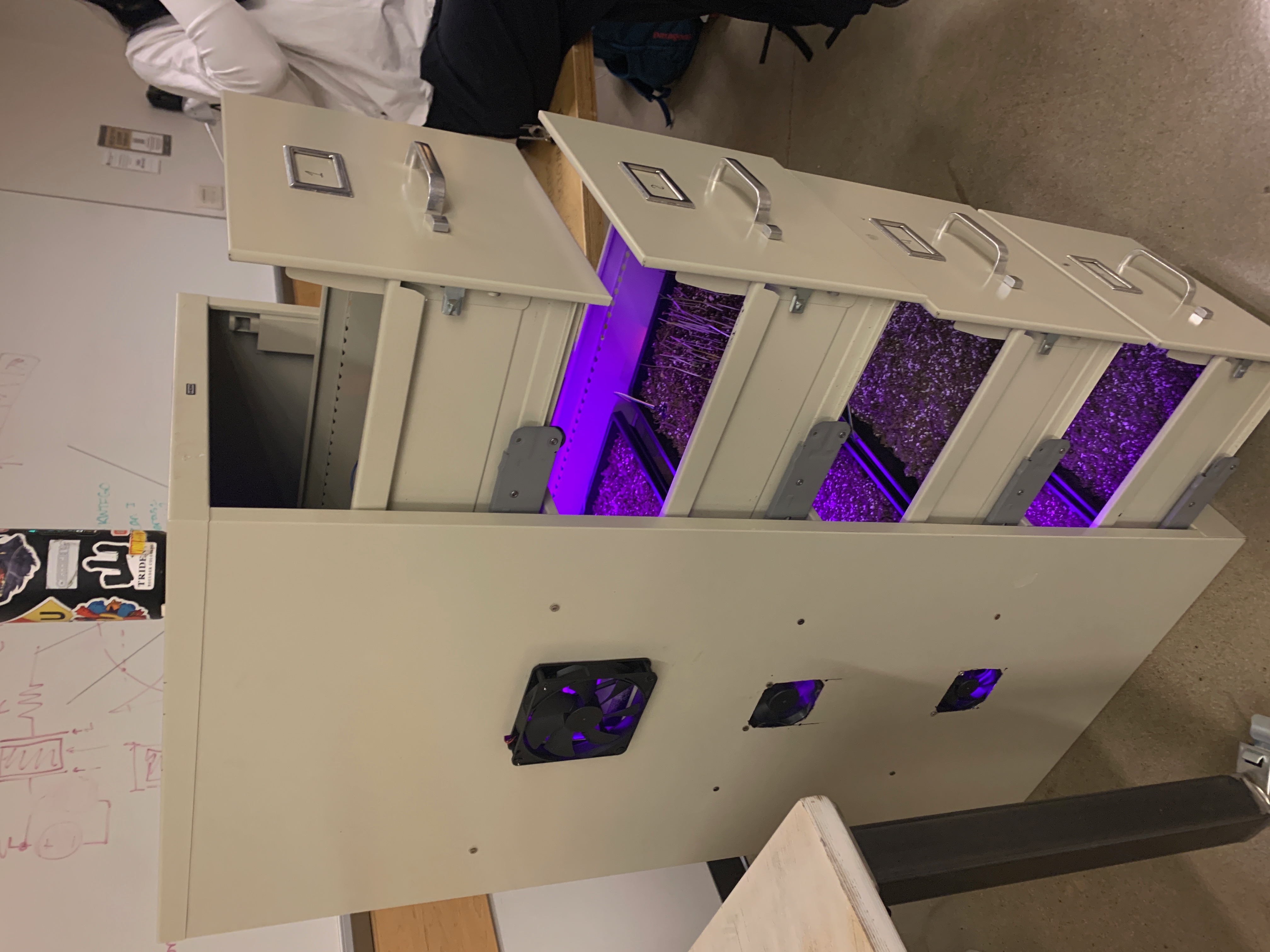 Microgreen Grow Cabinet