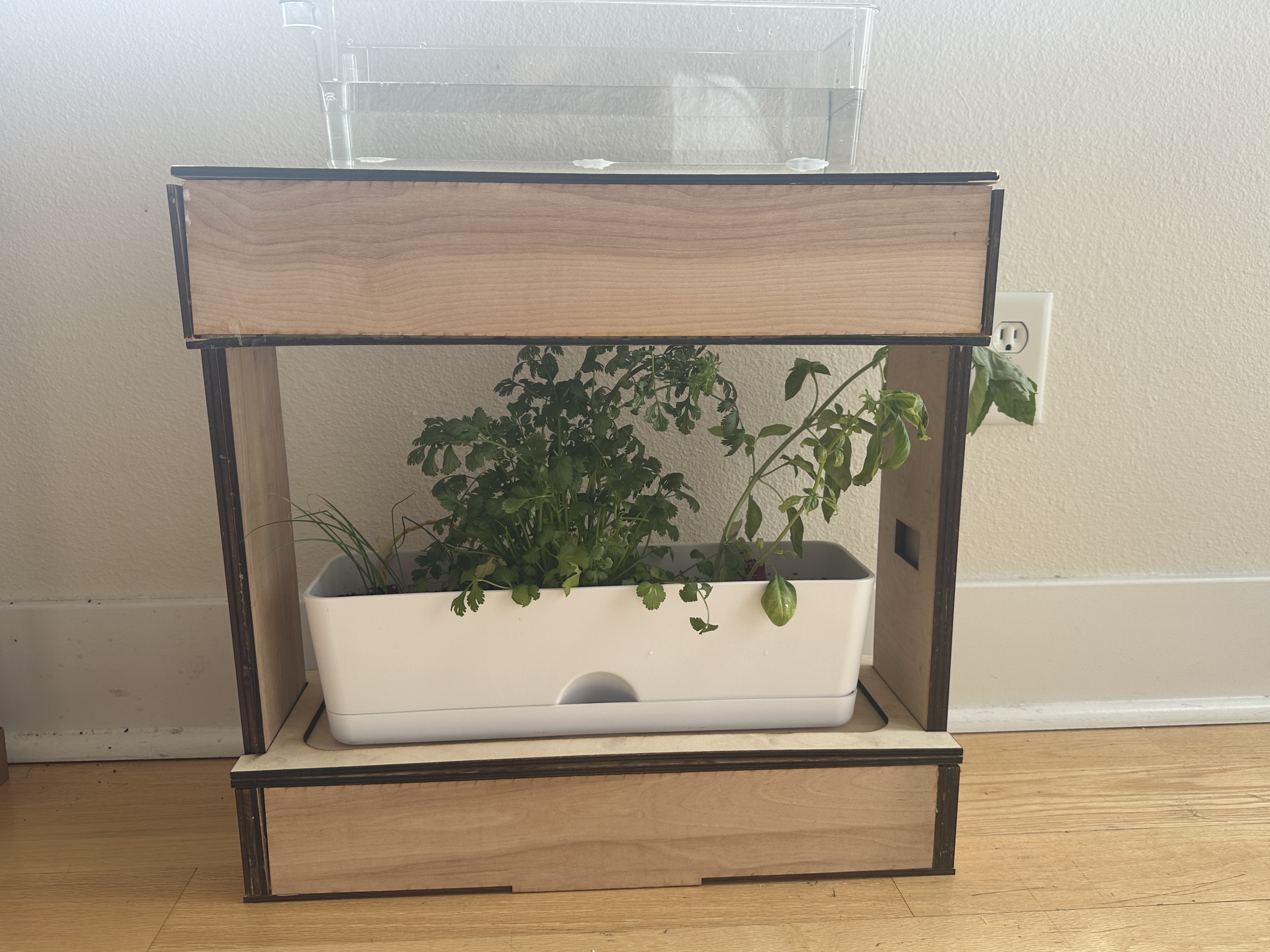 Automated Plant Care System